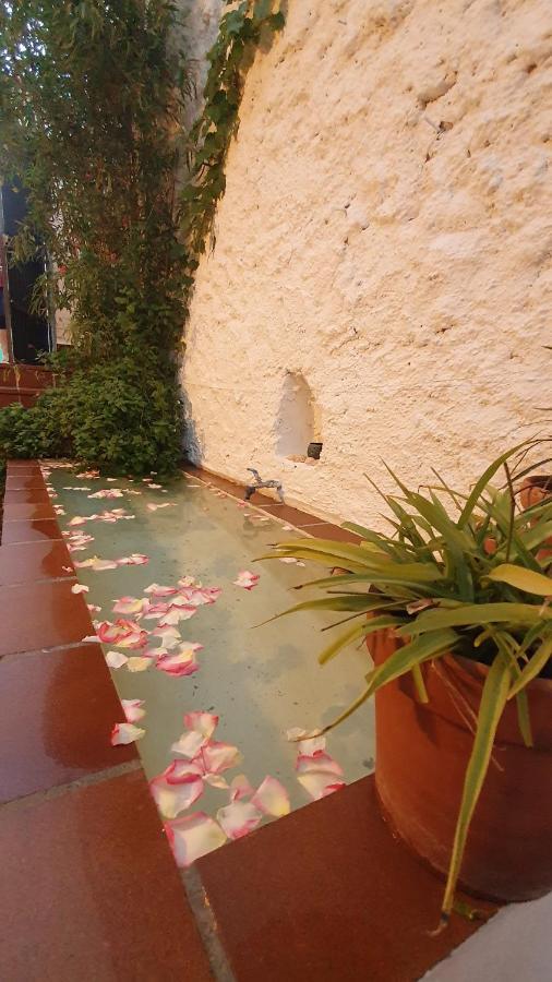 Casa Bambu Apartamento Granada Exterior foto